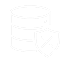 Zero PII access icon